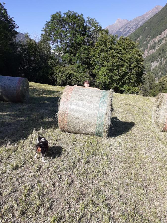 Appartamento Signorile Con Giardino Aosta Buitenkant foto