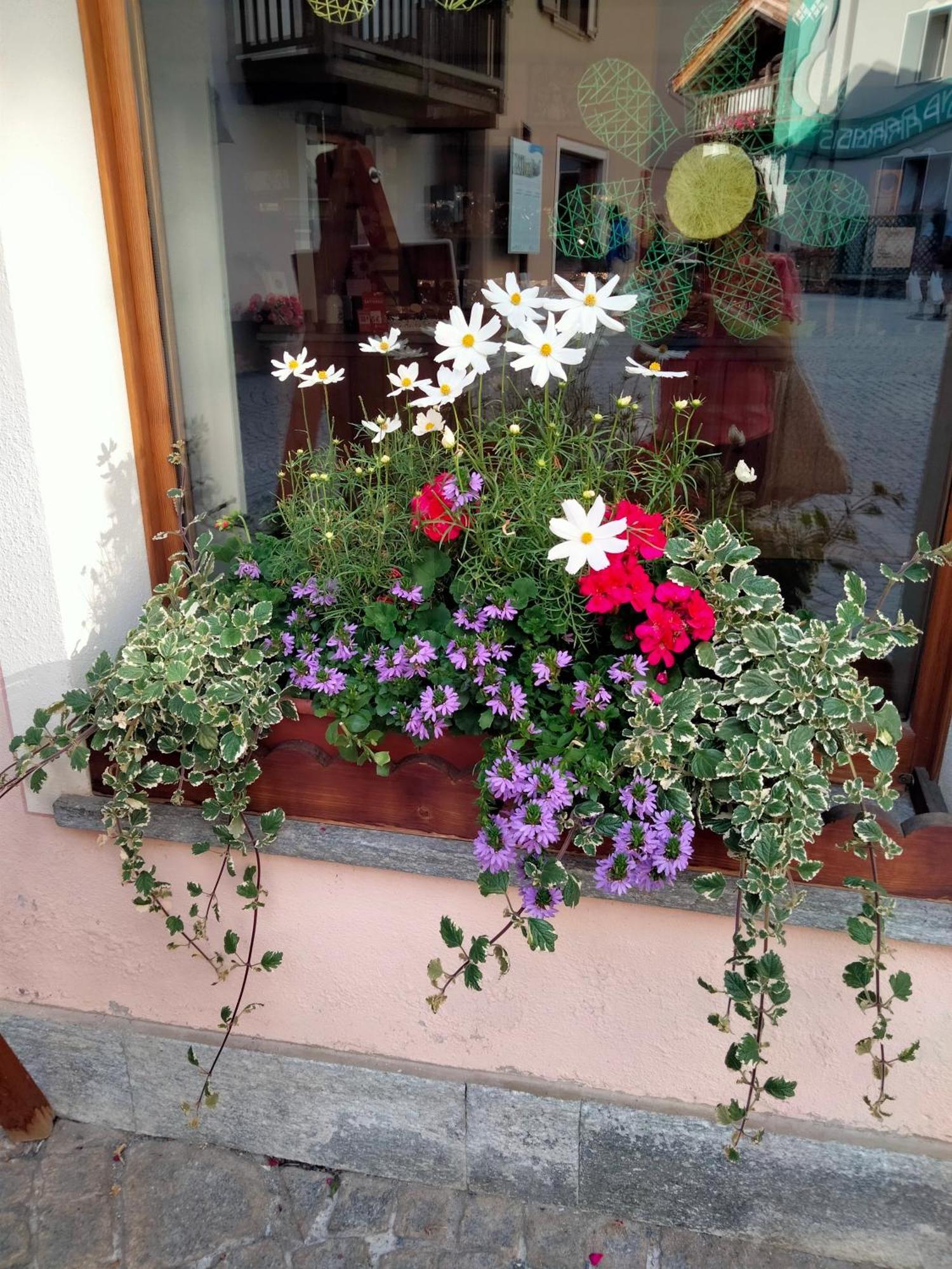 Appartamento Signorile Con Giardino Aosta Buitenkant foto