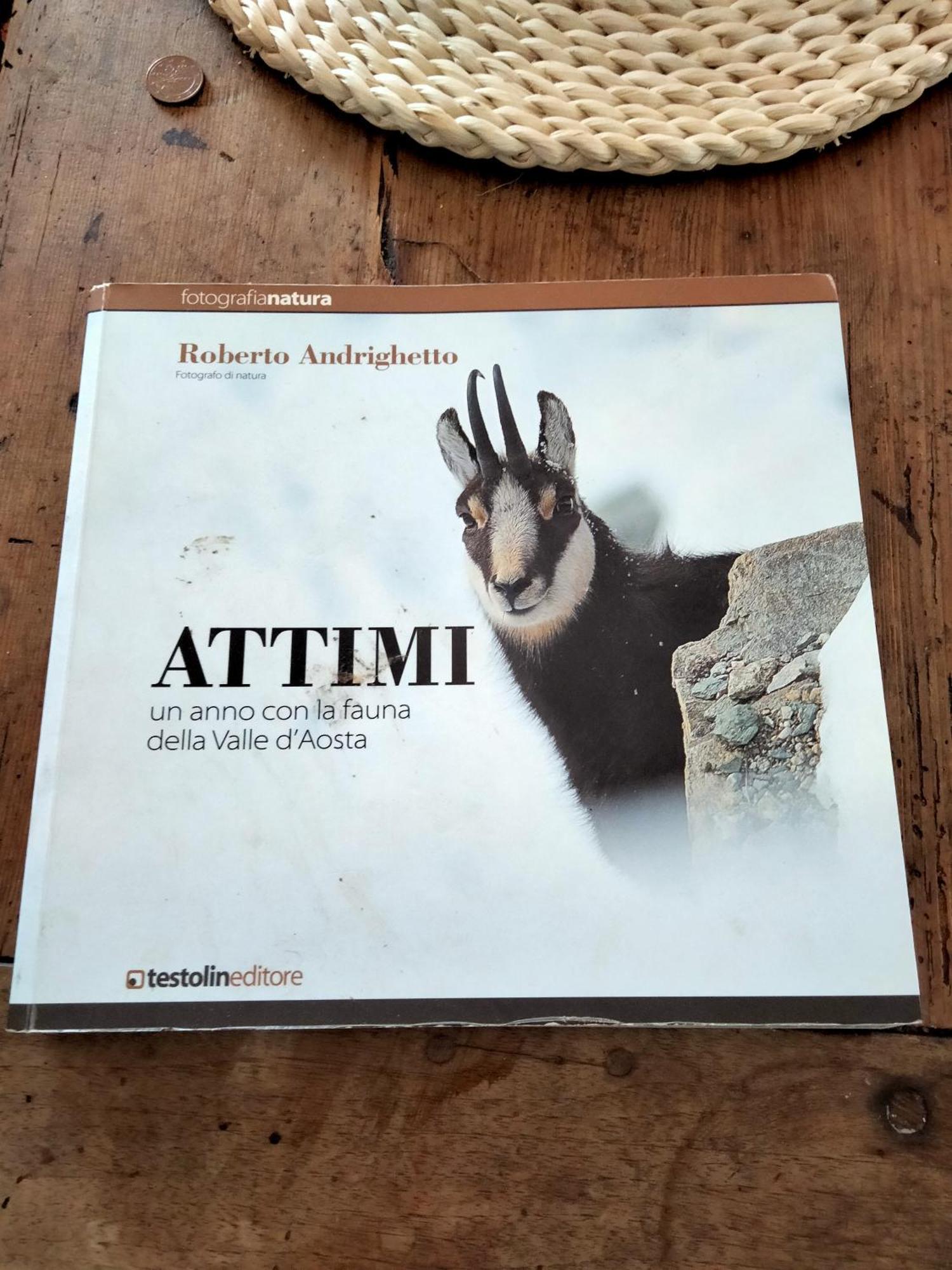 Appartamento Signorile Con Giardino Aosta Buitenkant foto