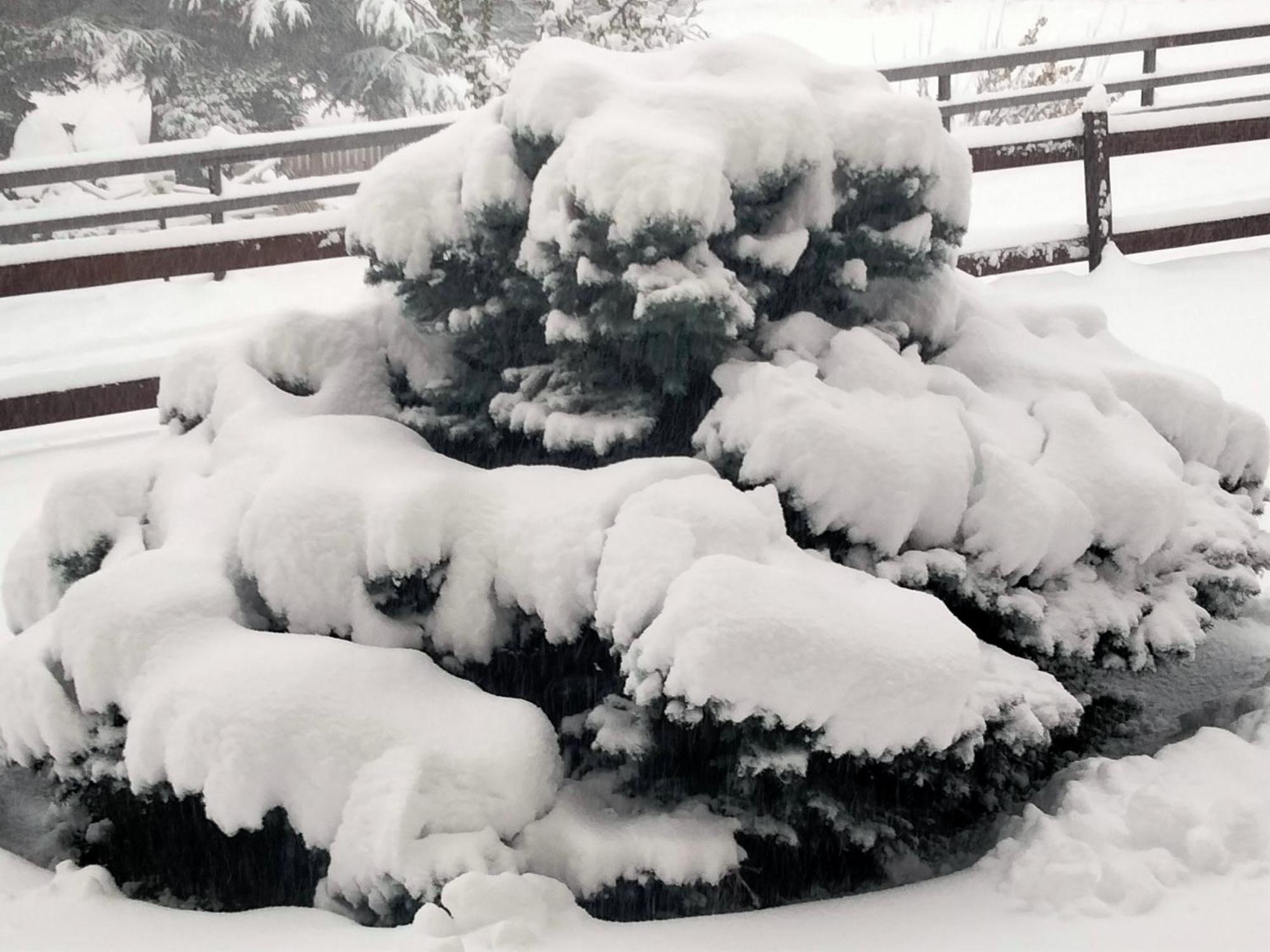 Appartamento Signorile Con Giardino Aosta Buitenkant foto