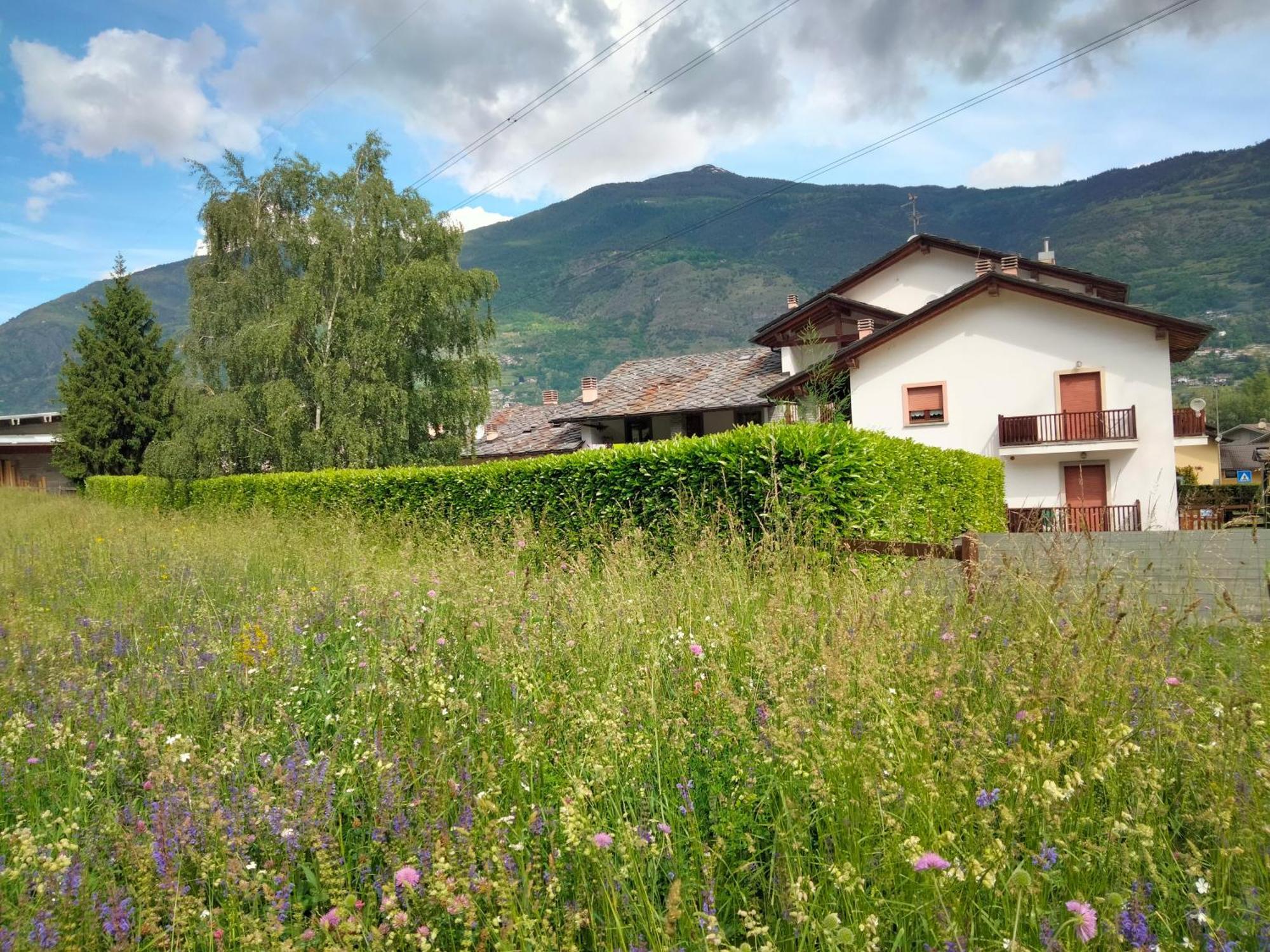 Appartamento Signorile Con Giardino Aosta Buitenkant foto